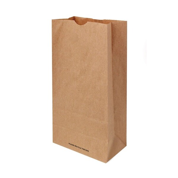 Toolworks International Recycled Paper Brown Shopping Bag 400 pk 11 in. H X 3 in. W X 5 in. L AKB0004 - main